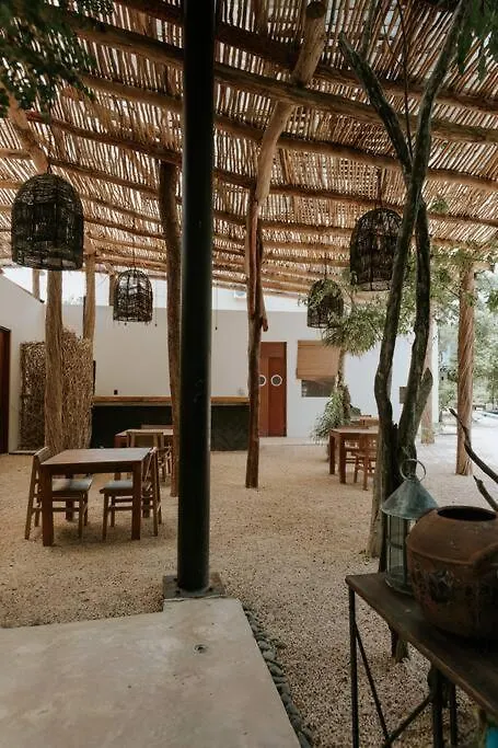 Cute Boho Penthouse 2 Bedroom Apt Tulum Apartment