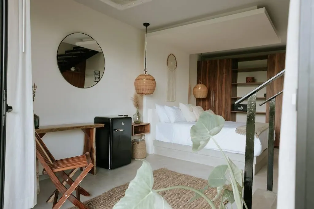 Διαμέρισμα Cute Boho Penthouse 2 Bedroom Apt Τουλούμ Μεξικό
