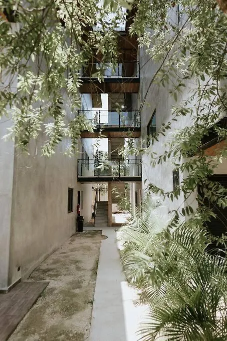 Cute Boho Penthouse 2 Bedroom Apt Τουλούμ 0*,  Μεξικό